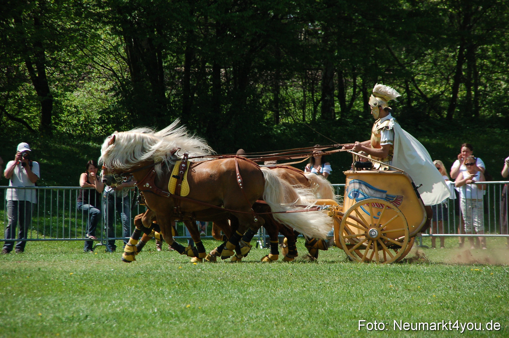 Nordbayerisches Haflingertreffen Neumarkt 010512 0087