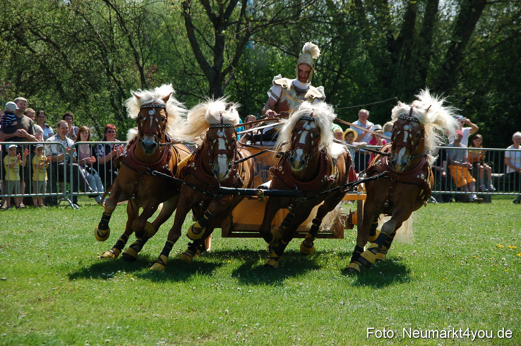 Nordbayerisches Haflingertreffen Neumarkt 010512 0088