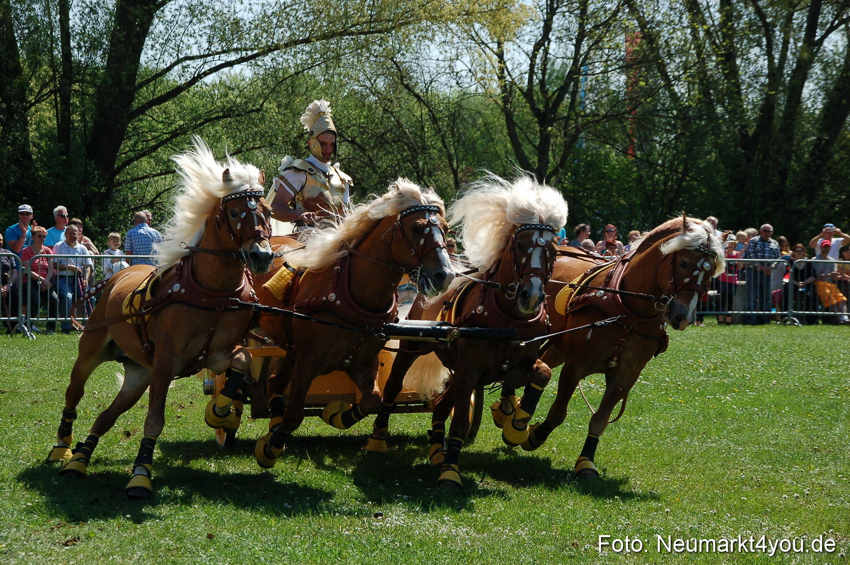 Nordbayerisches Haflingertreffen Neumarkt 010512 0089