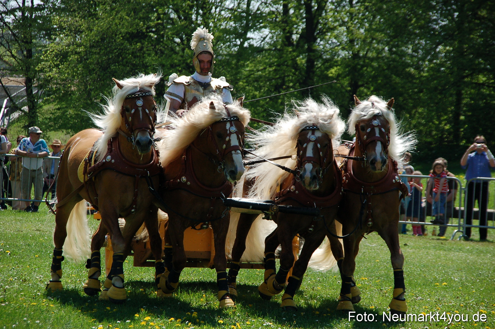 Nordbayerisches Haflingertreffen Neumarkt 010512 0090