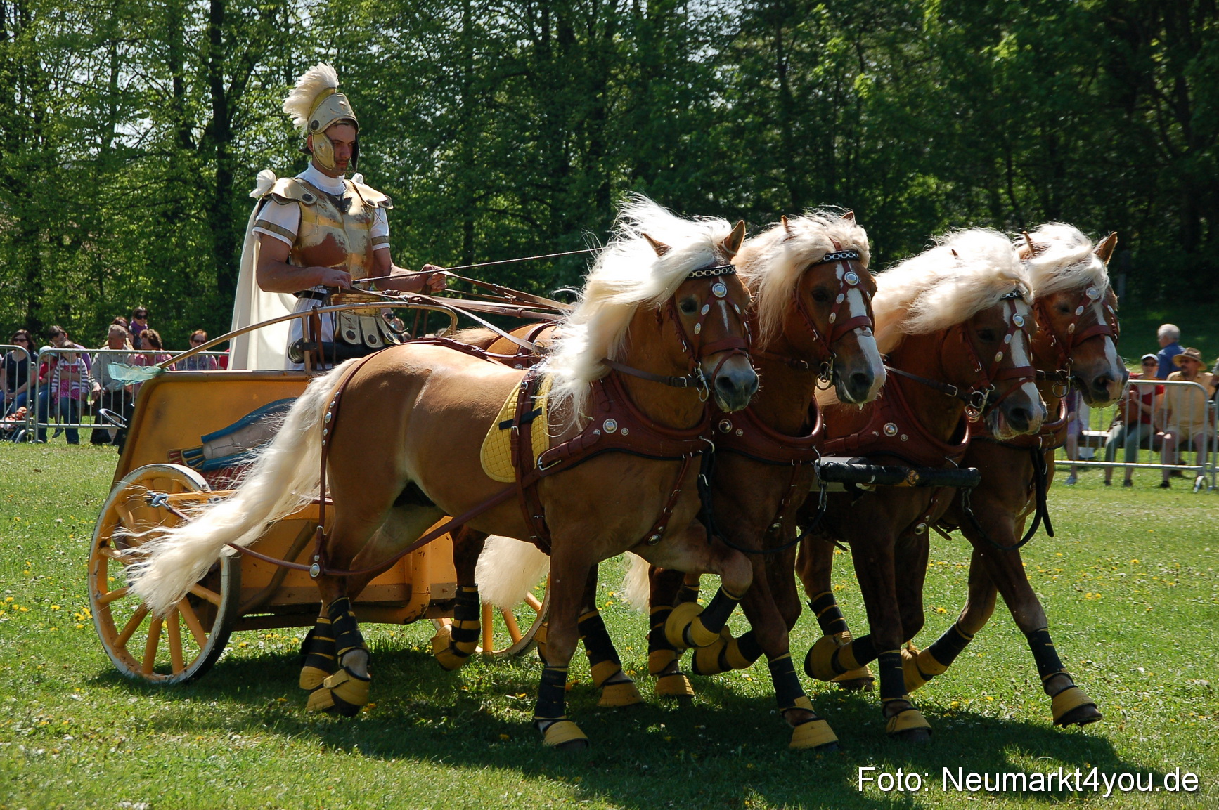 Nordbayerisches Haflingertreffen Neumarkt 010512 0091