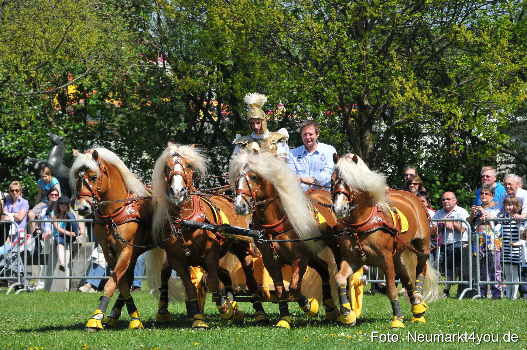 Nordbayerisches Haflingertreffen Neumarkt 010512 0092