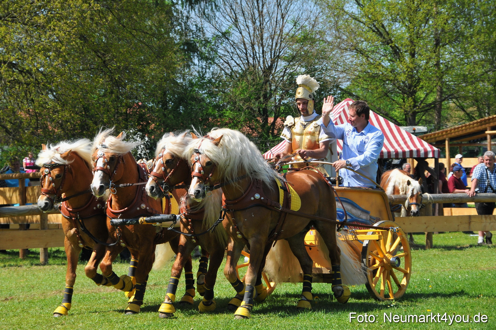Nordbayerisches Haflingertreffen Neumarkt 010512 0093