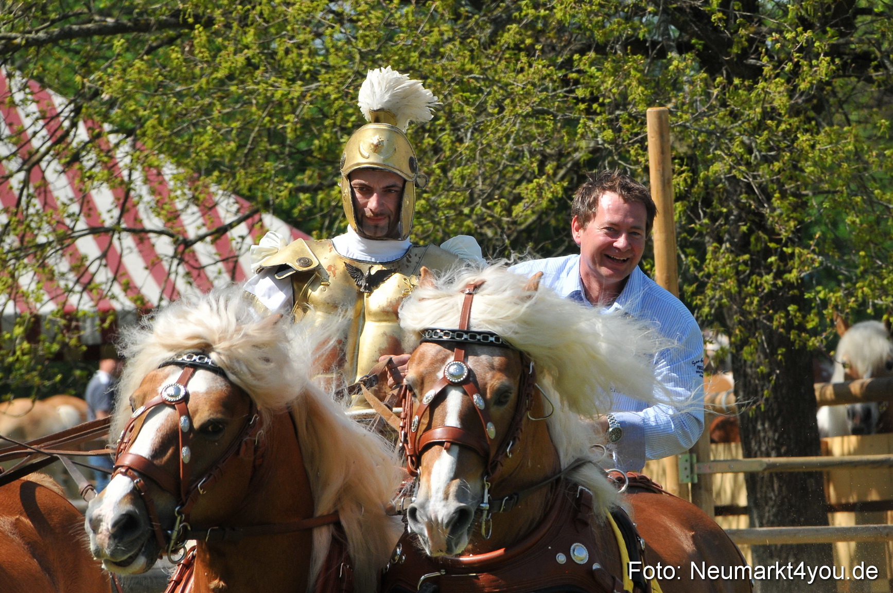 Nordbayerisches Haflingertreffen Neumarkt 010512 0094