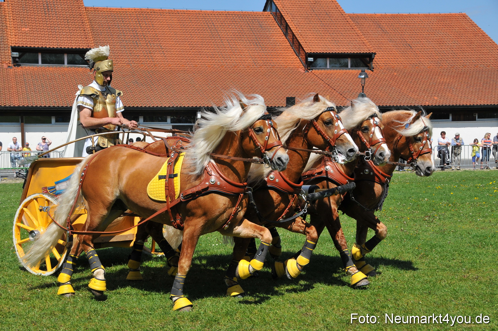 Nordbayerisches Haflingertreffen Neumarkt 010512 0096