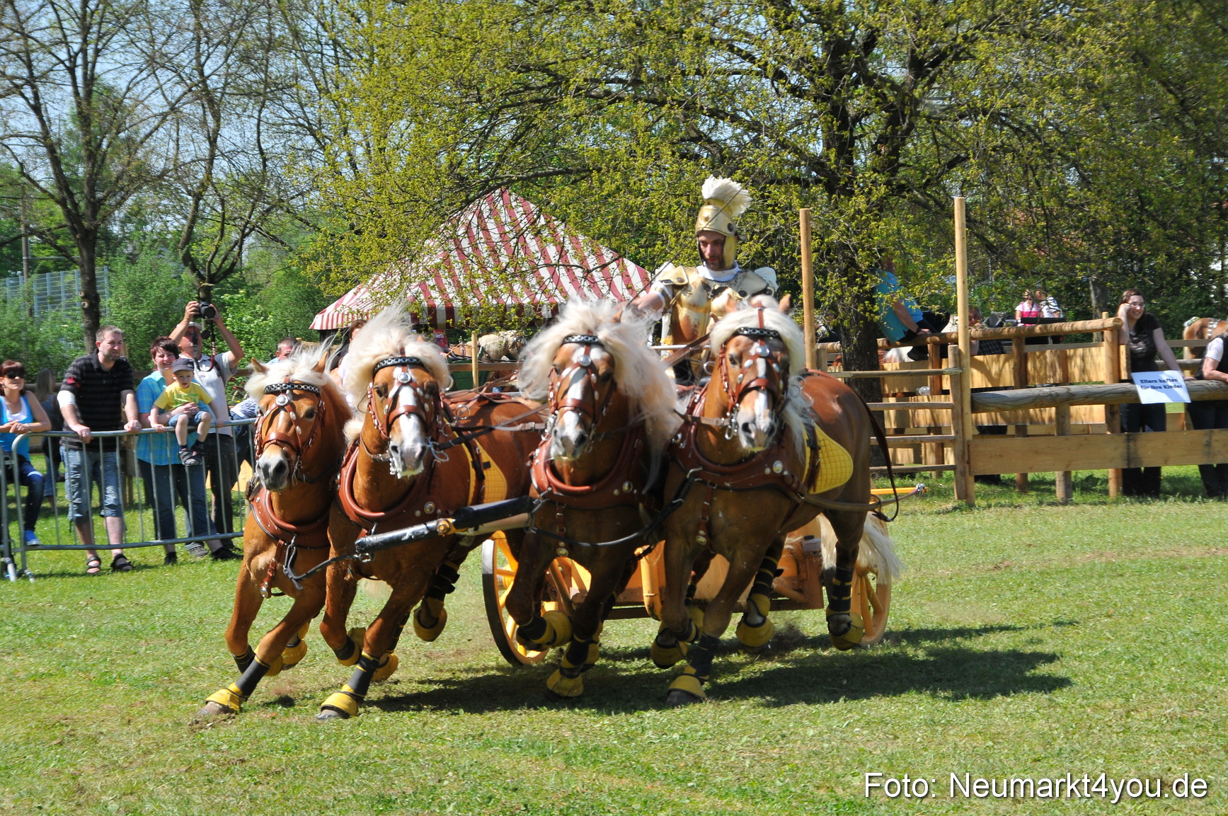 Nordbayerisches Haflingertreffen Neumarkt 010512 0097