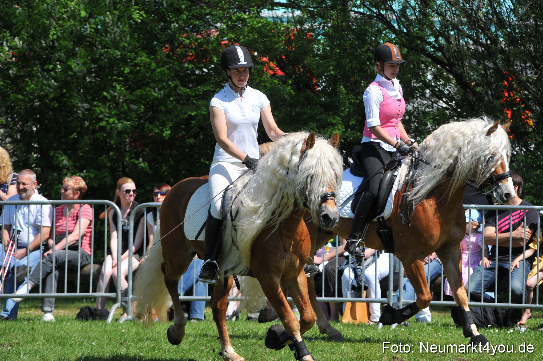 Nordbayerisches Haflingertreffen Neumarkt 010512 0099