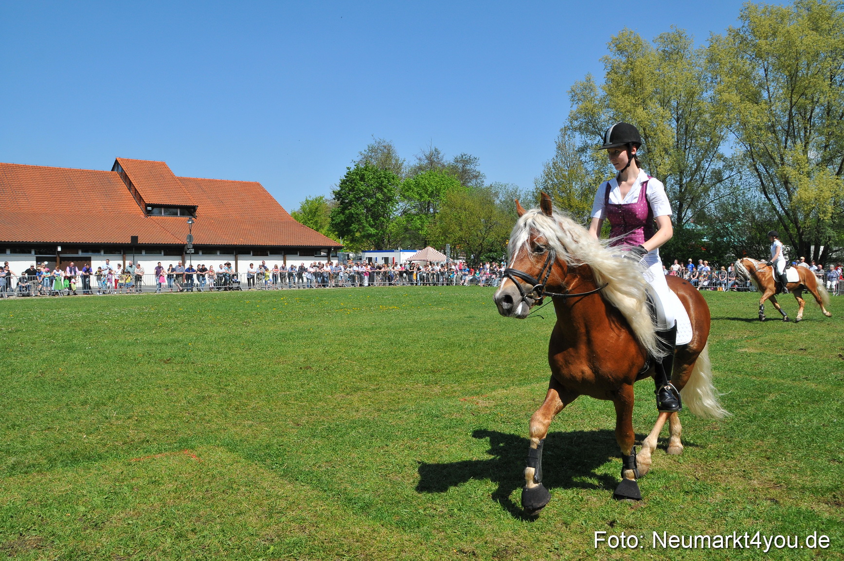 Nordbayerisches Haflingertreffen Neumarkt 010512 0100