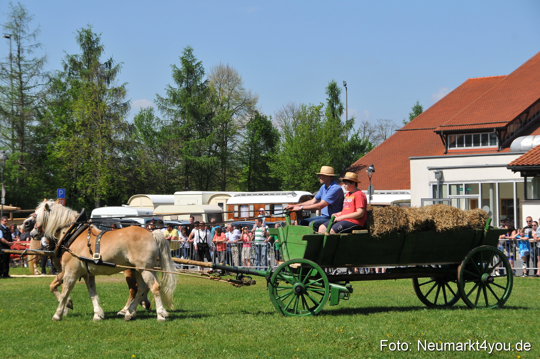 Nordbayerisches Haflingertreffen Neumarkt 010512 0101