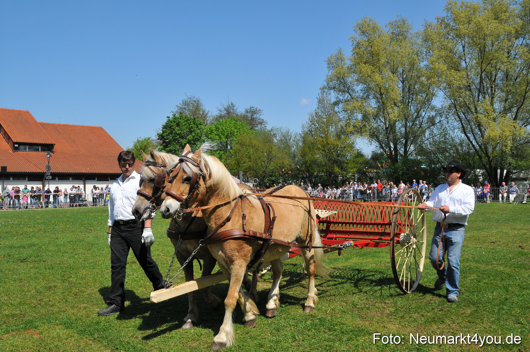 Nordbayerisches Haflingertreffen Neumarkt 010512 0105