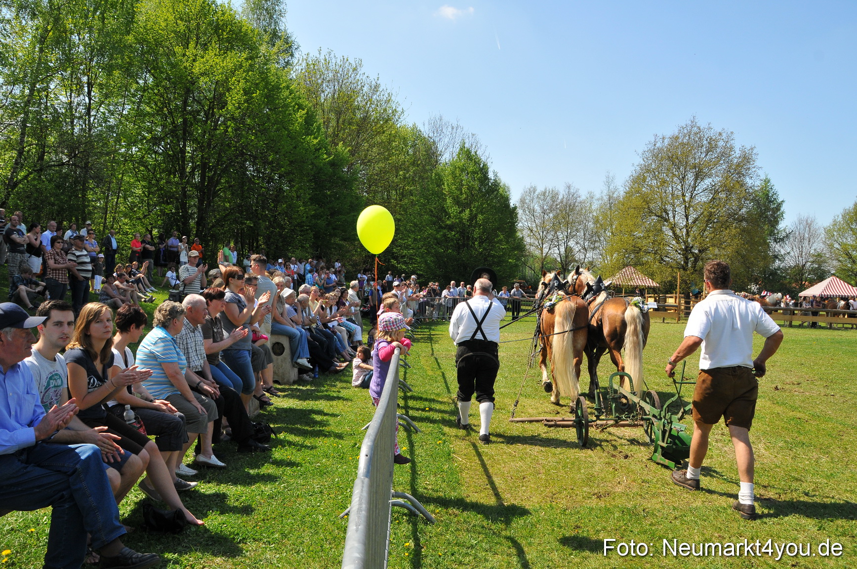 Nordbayerisches Haflingertreffen Neumarkt 010512 0106