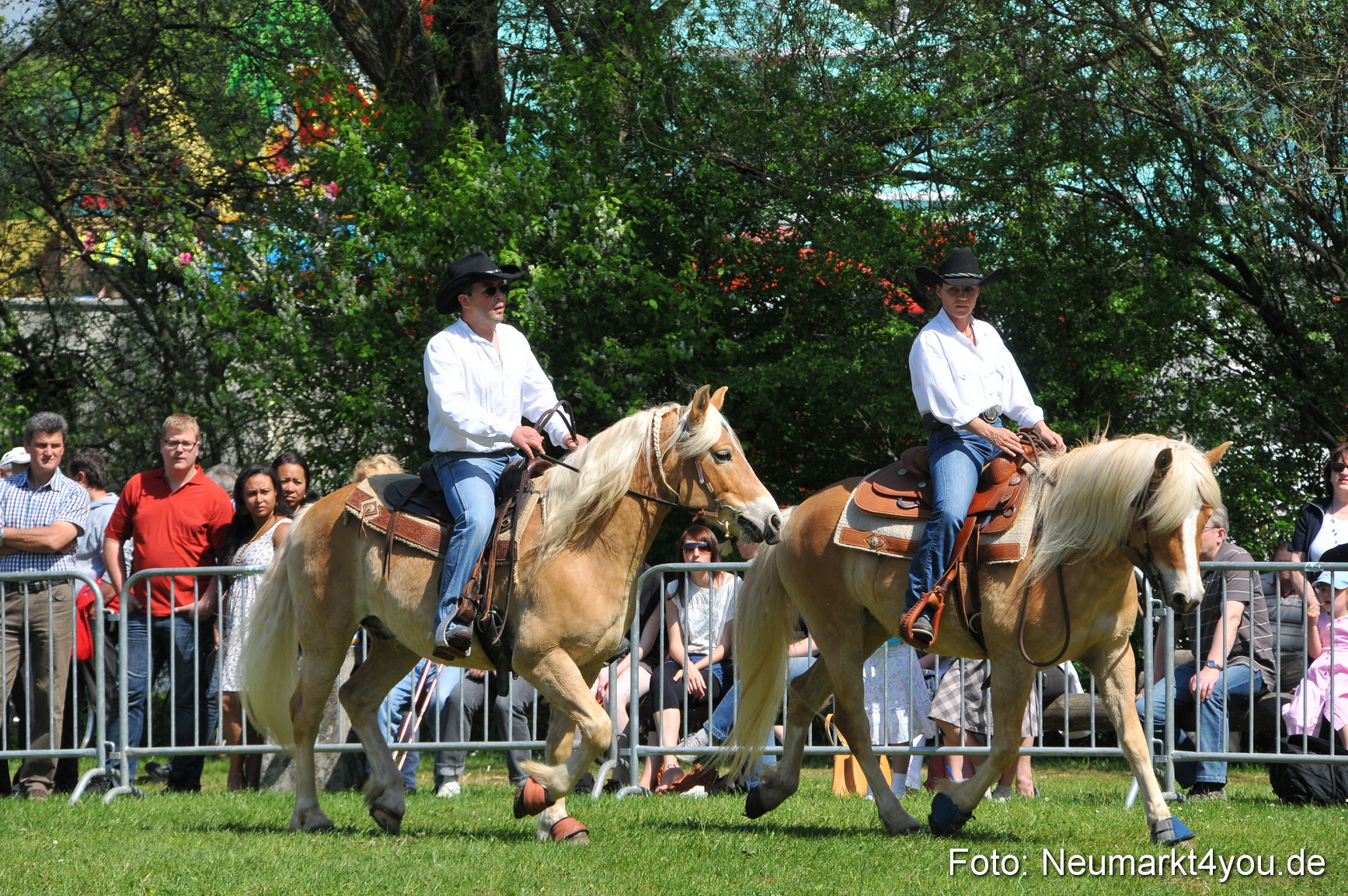 Nordbayerisches Haflingertreffen Neumarkt 010512 0108