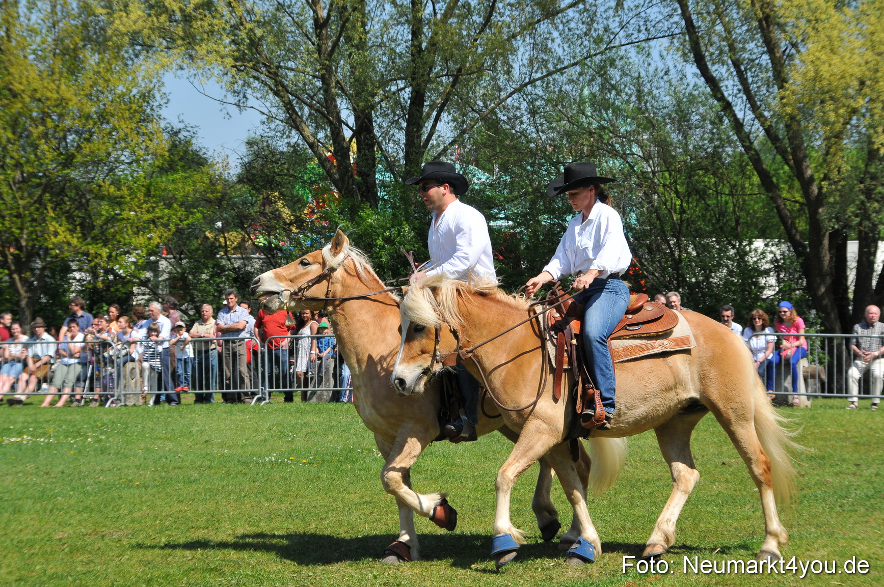 Nordbayerisches Haflingertreffen Neumarkt 010512 0109
