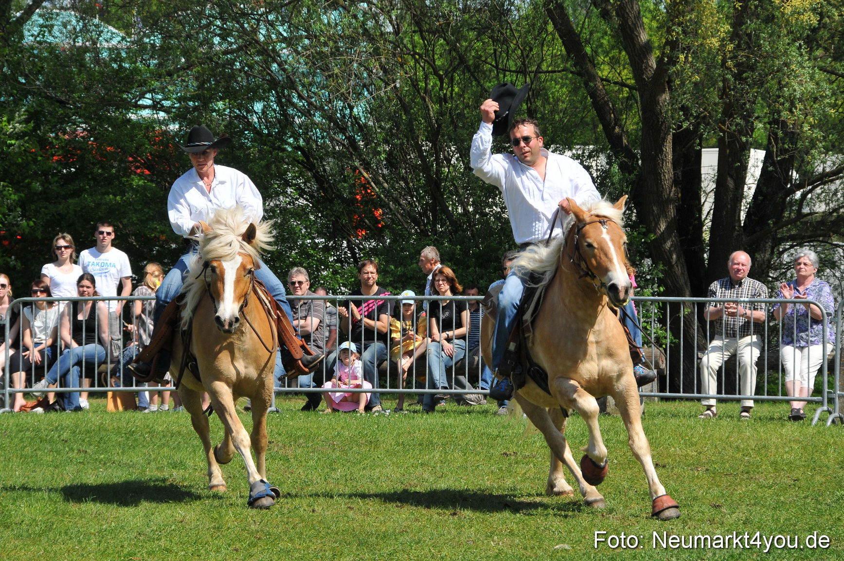Nordbayerisches Haflingertreffen Neumarkt 010512 0110