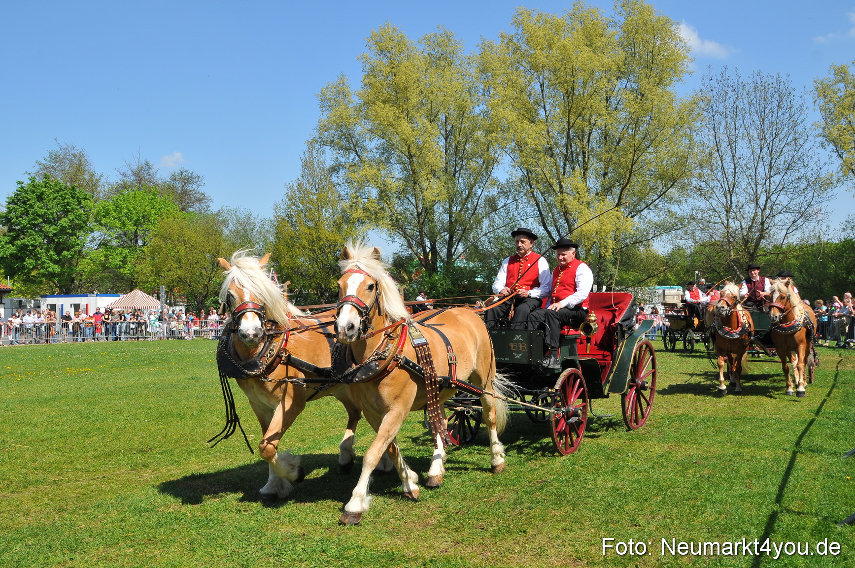 Nordbayerisches Haflingertreffen Neumarkt 010512 0111