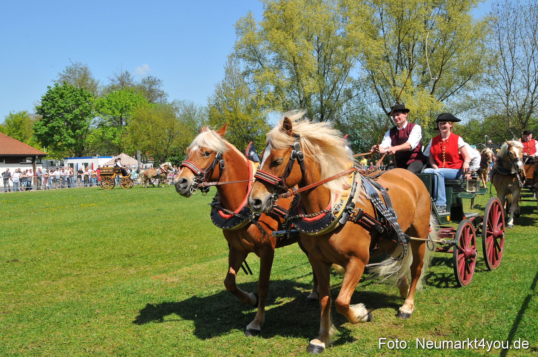 Nordbayerisches Haflingertreffen Neumarkt 010512 0112