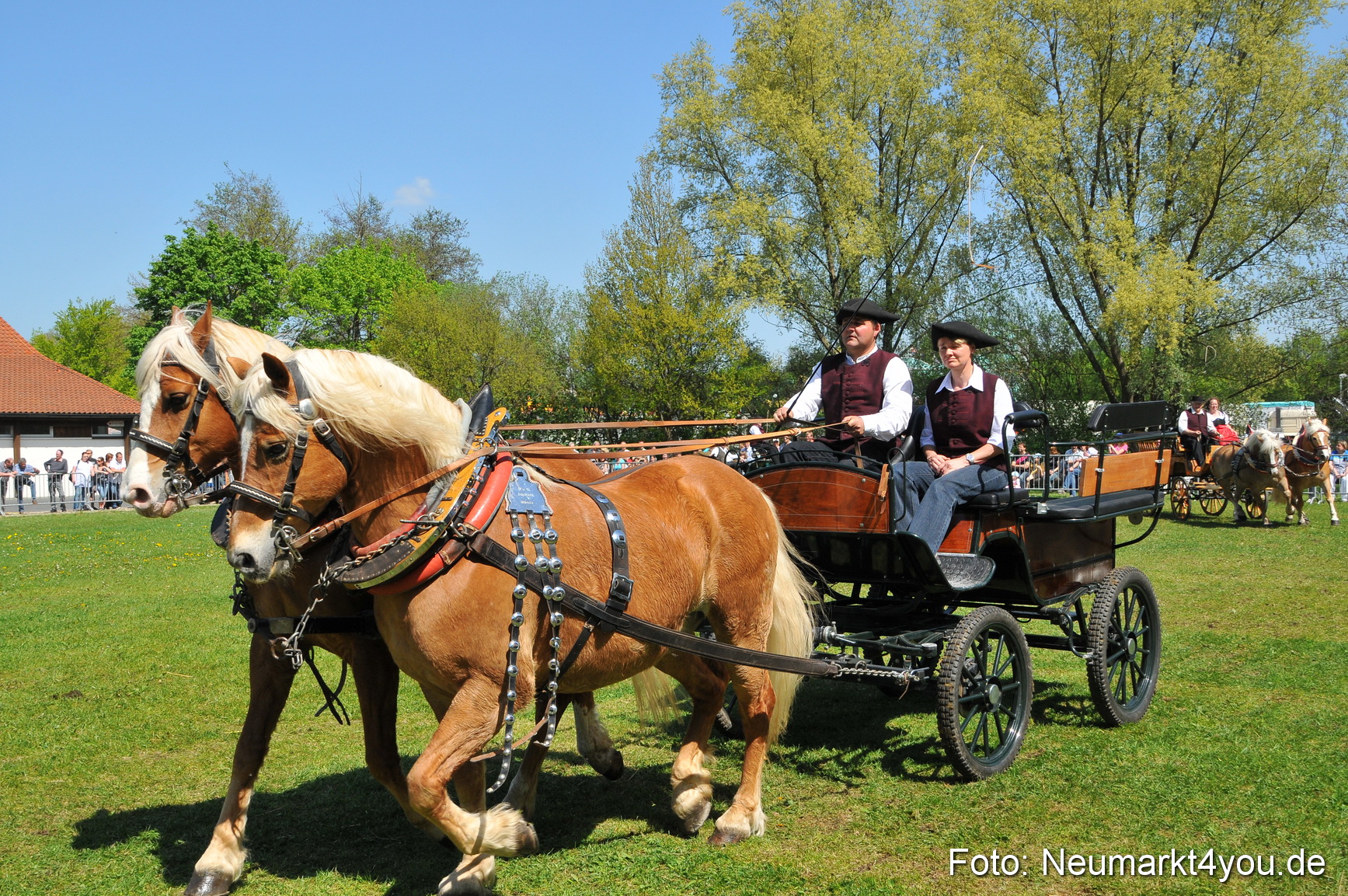 Nordbayerisches Haflingertreffen Neumarkt 010512 0113
