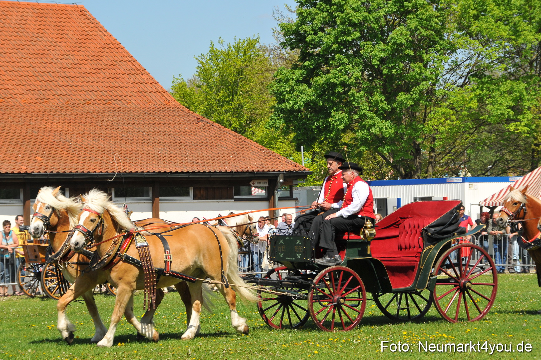 Nordbayerisches Haflingertreffen Neumarkt 010512 0116
