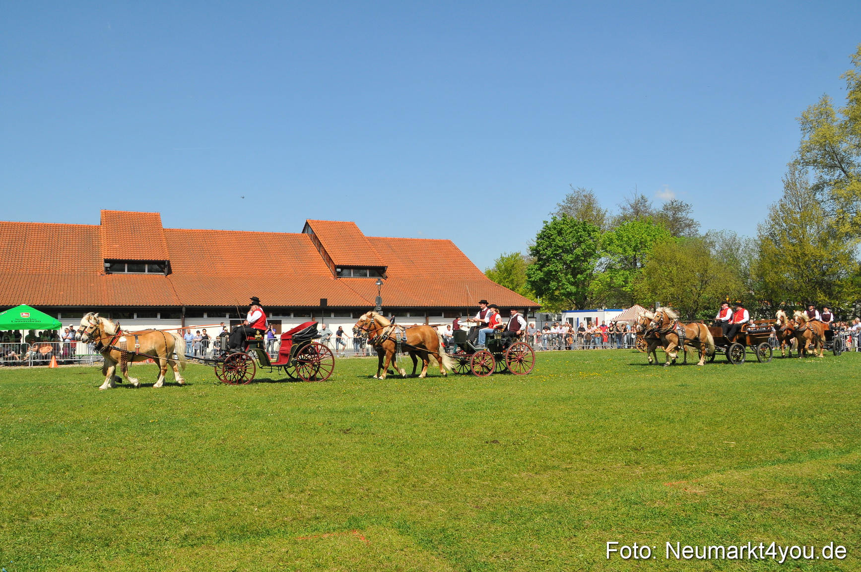 Nordbayerisches Haflingertreffen Neumarkt 010512 0117