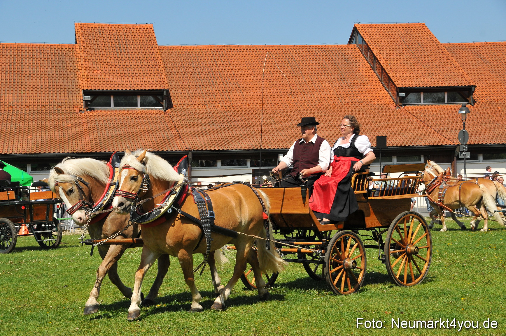 Nordbayerisches Haflingertreffen Neumarkt 010512 0118