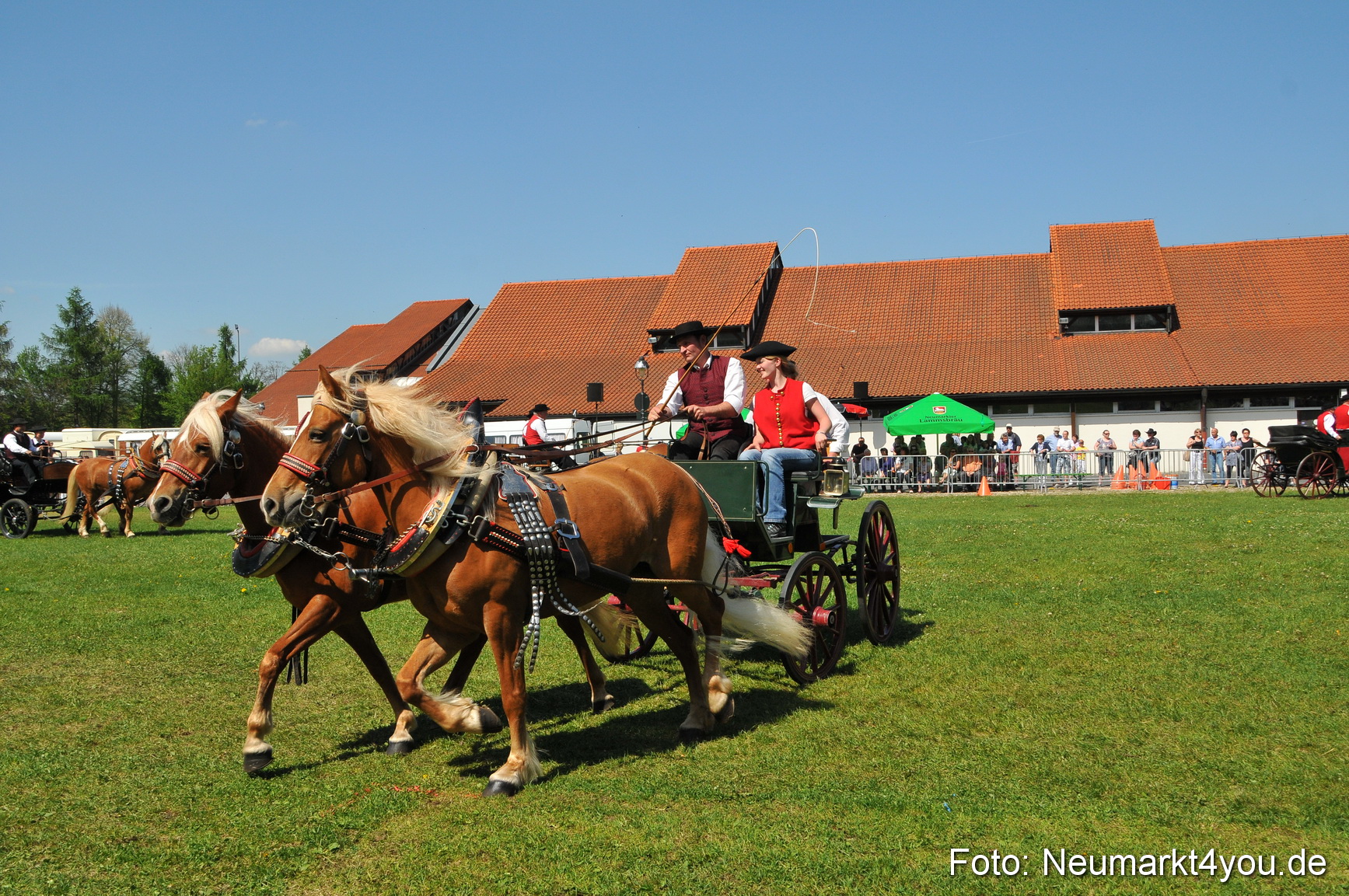 Nordbayerisches Haflingertreffen Neumarkt 010512 0119