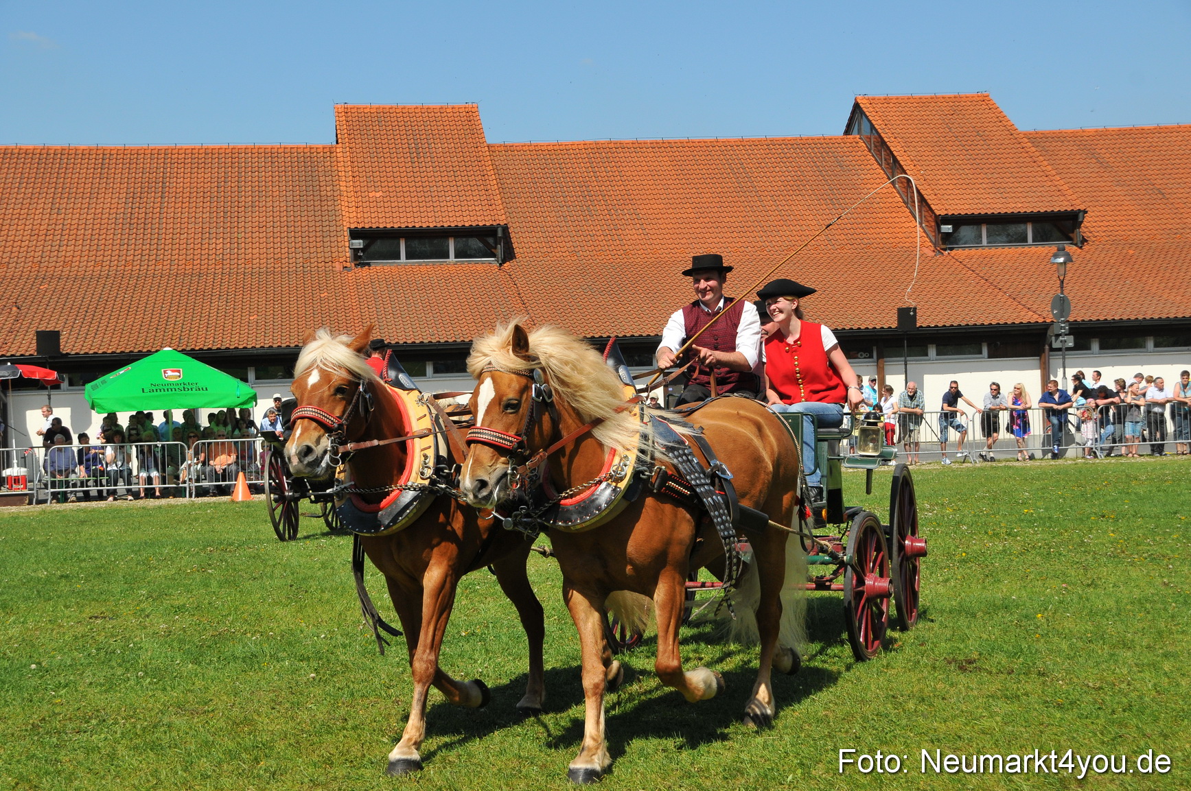 Nordbayerisches Haflingertreffen Neumarkt 010512 0121