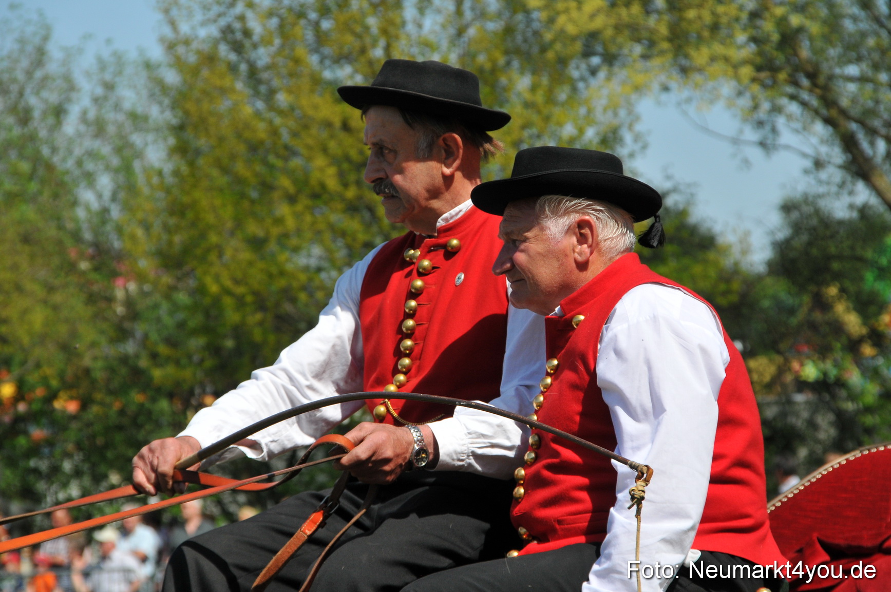 Nordbayerisches Haflingertreffen Neumarkt 010512 0122