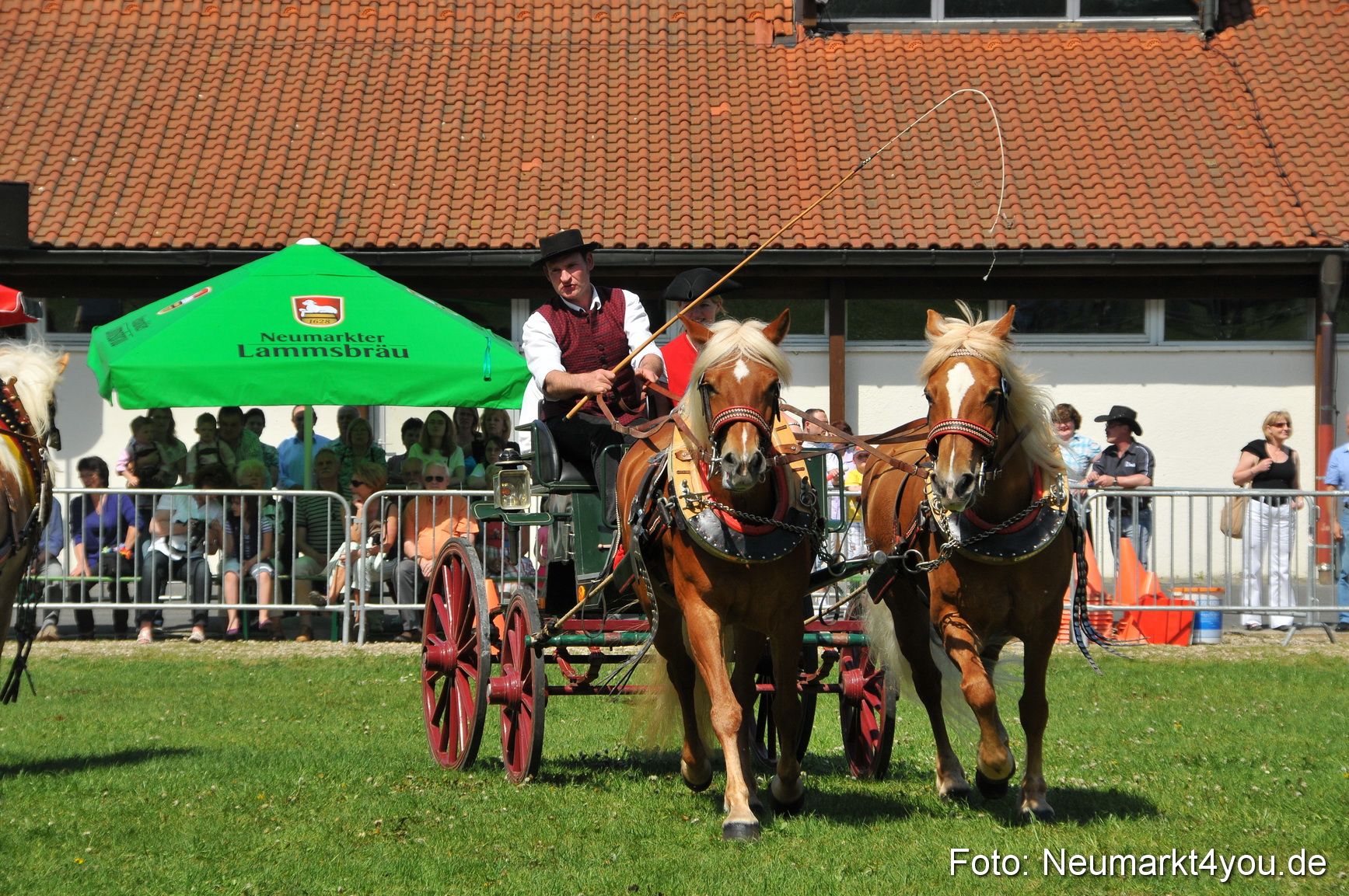 Nordbayerisches Haflingertreffen Neumarkt 010512 0123
