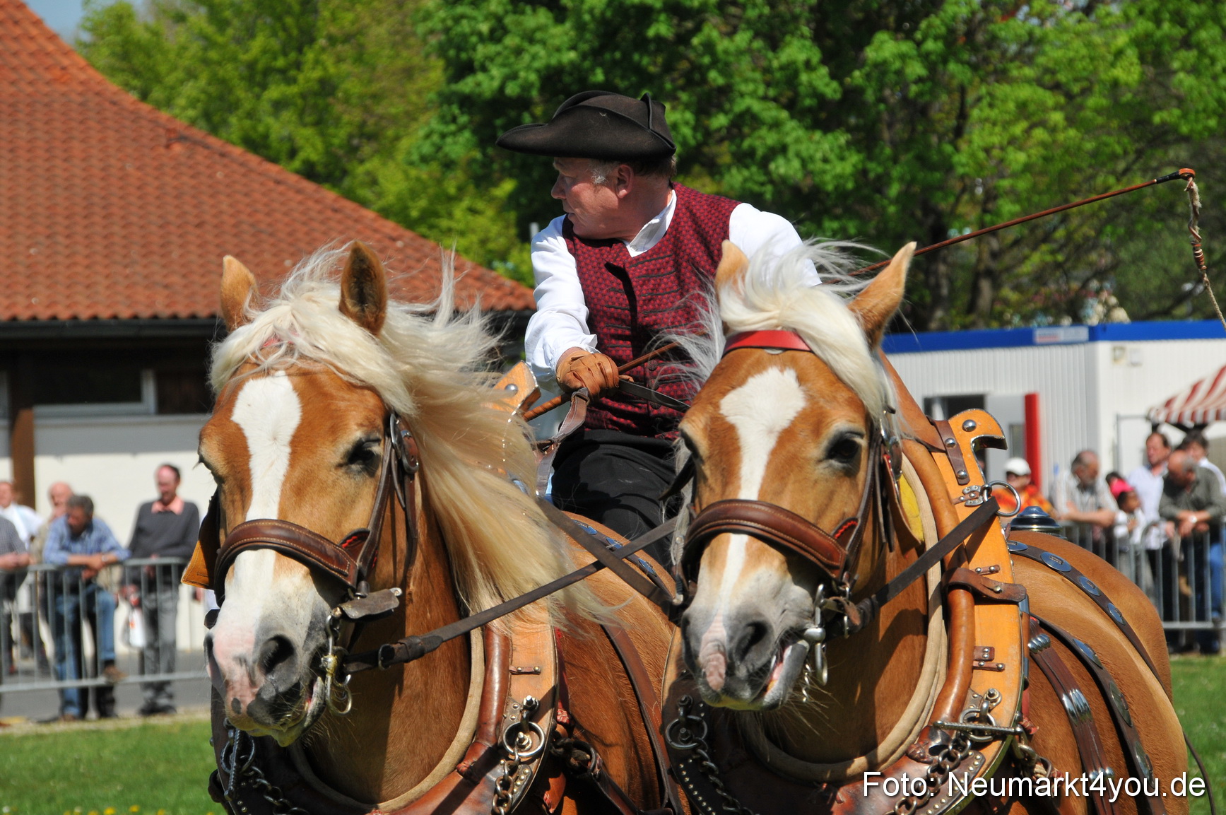 Nordbayerisches Haflingertreffen Neumarkt 010512 0128