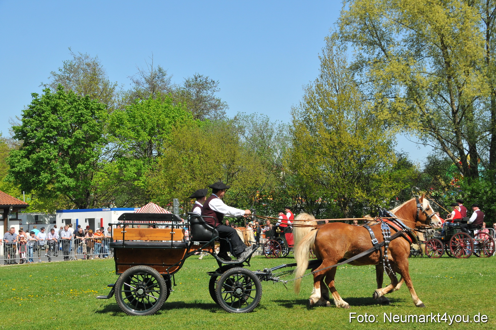 Nordbayerisches Haflingertreffen Neumarkt 010512 0129