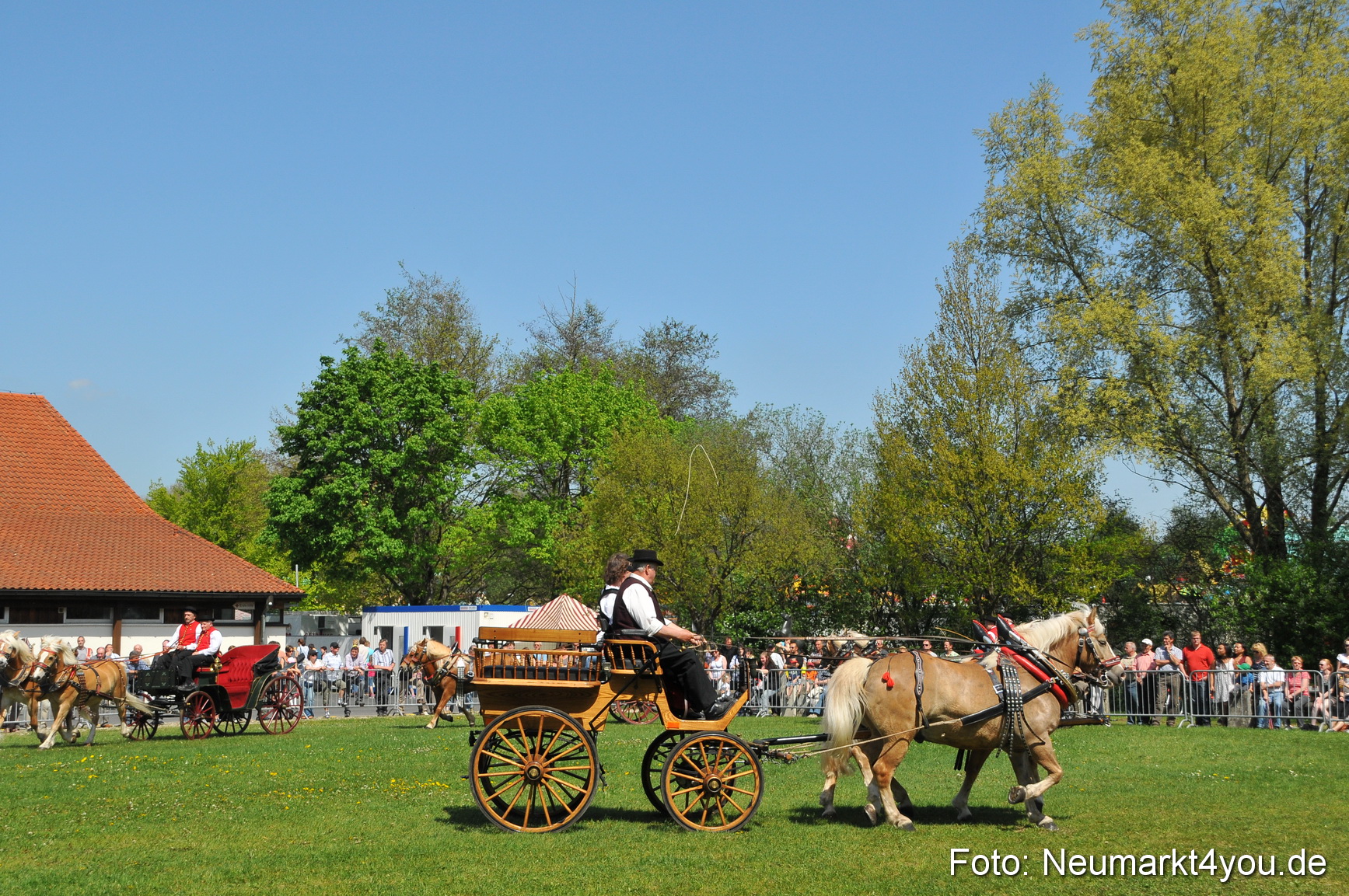 Nordbayerisches Haflingertreffen Neumarkt 010512 0130