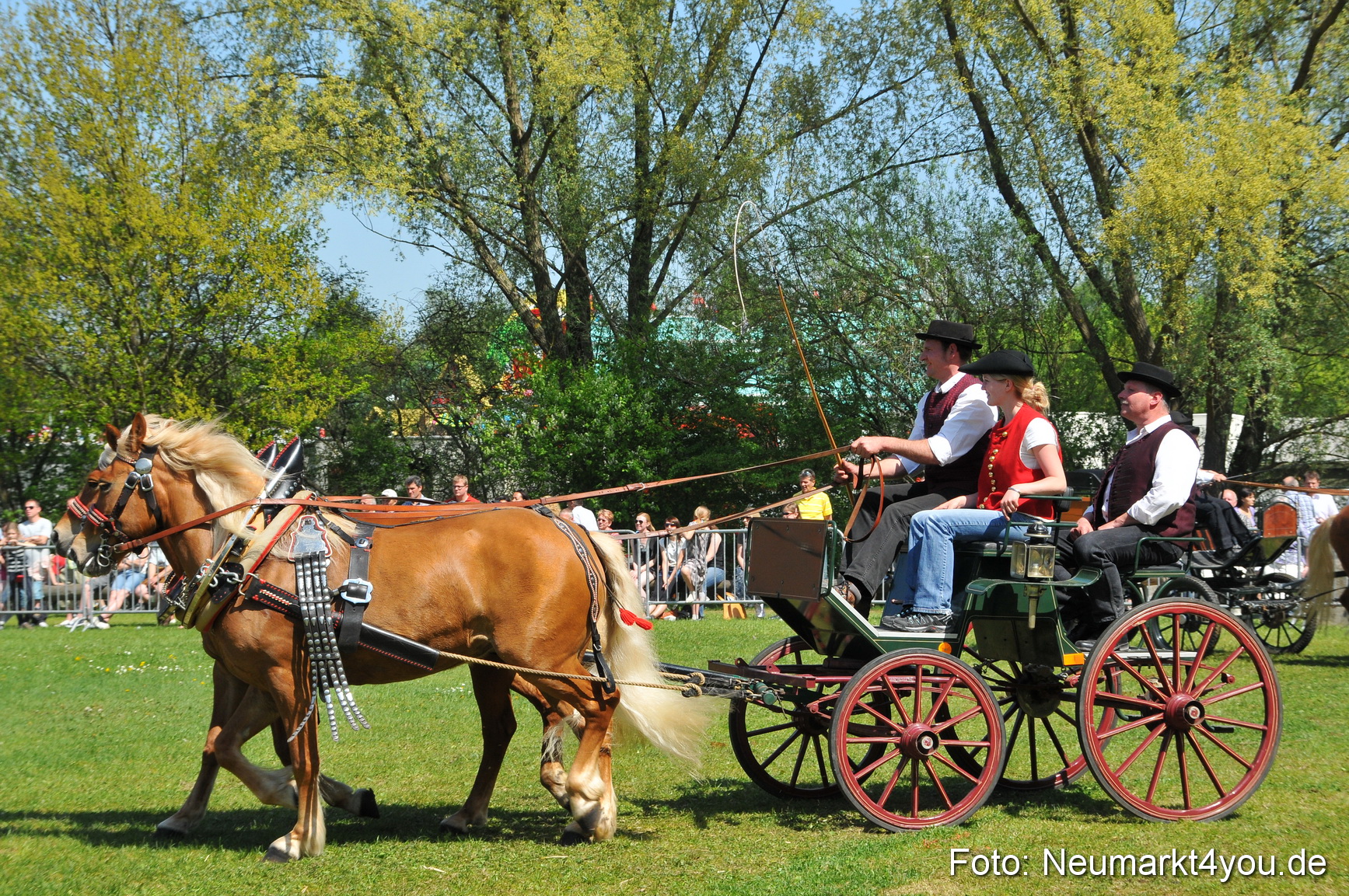 Nordbayerisches Haflingertreffen Neumarkt 010512 0131