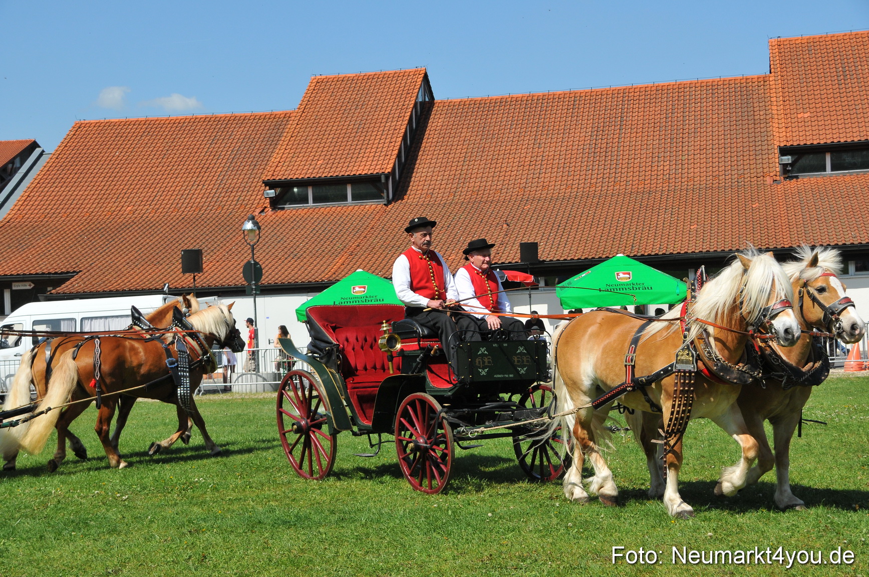 Nordbayerisches Haflingertreffen Neumarkt 010512 0132