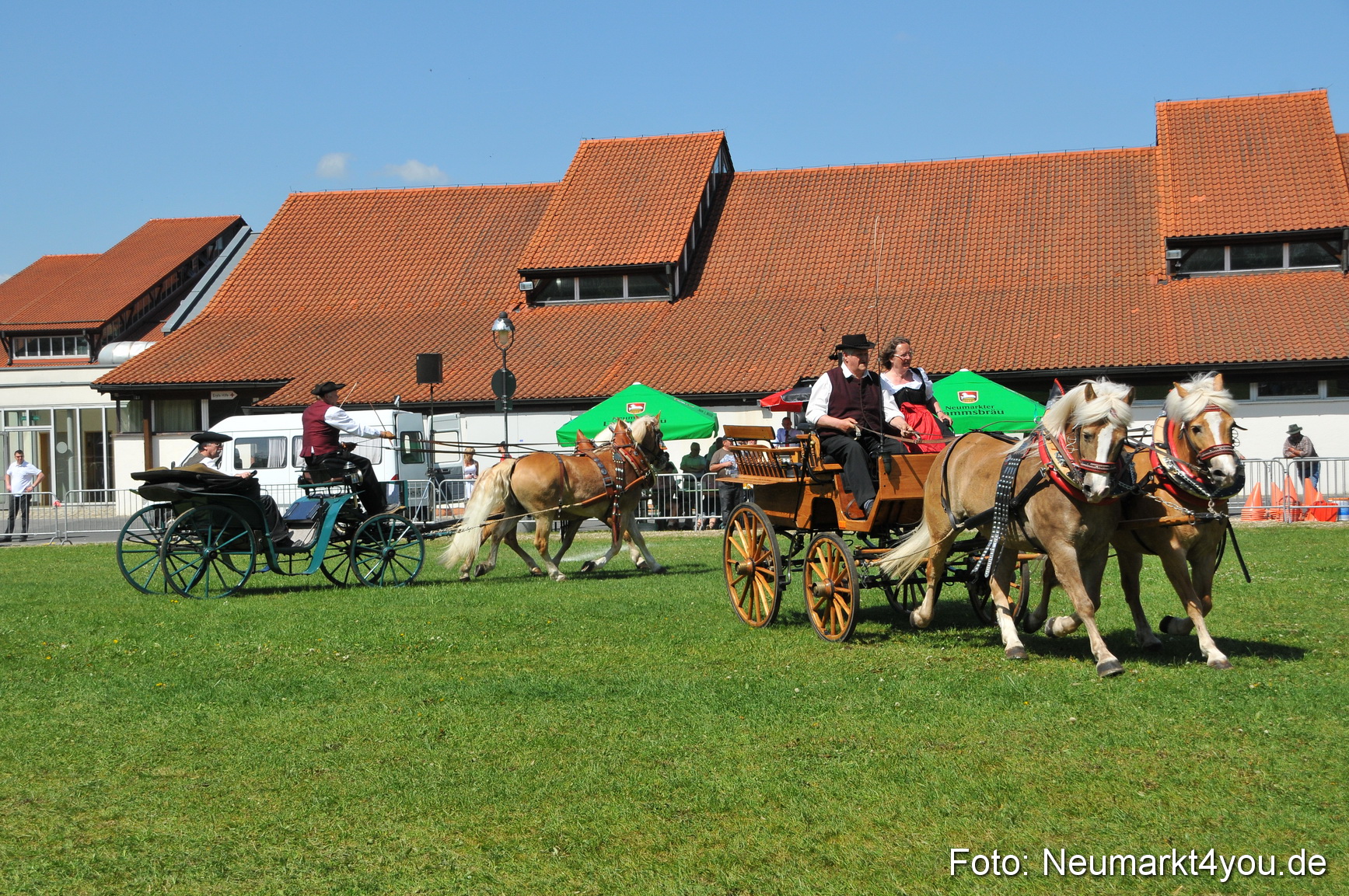 Nordbayerisches Haflingertreffen Neumarkt 010512 0133