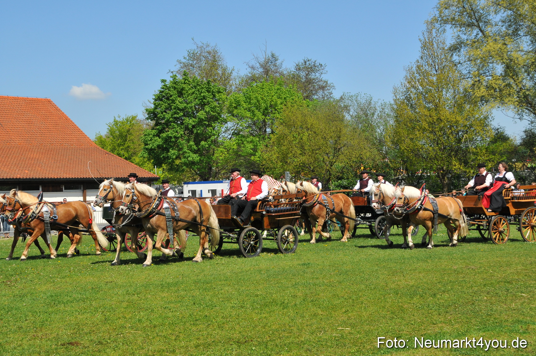 Nordbayerisches Haflingertreffen Neumarkt 010512 0136