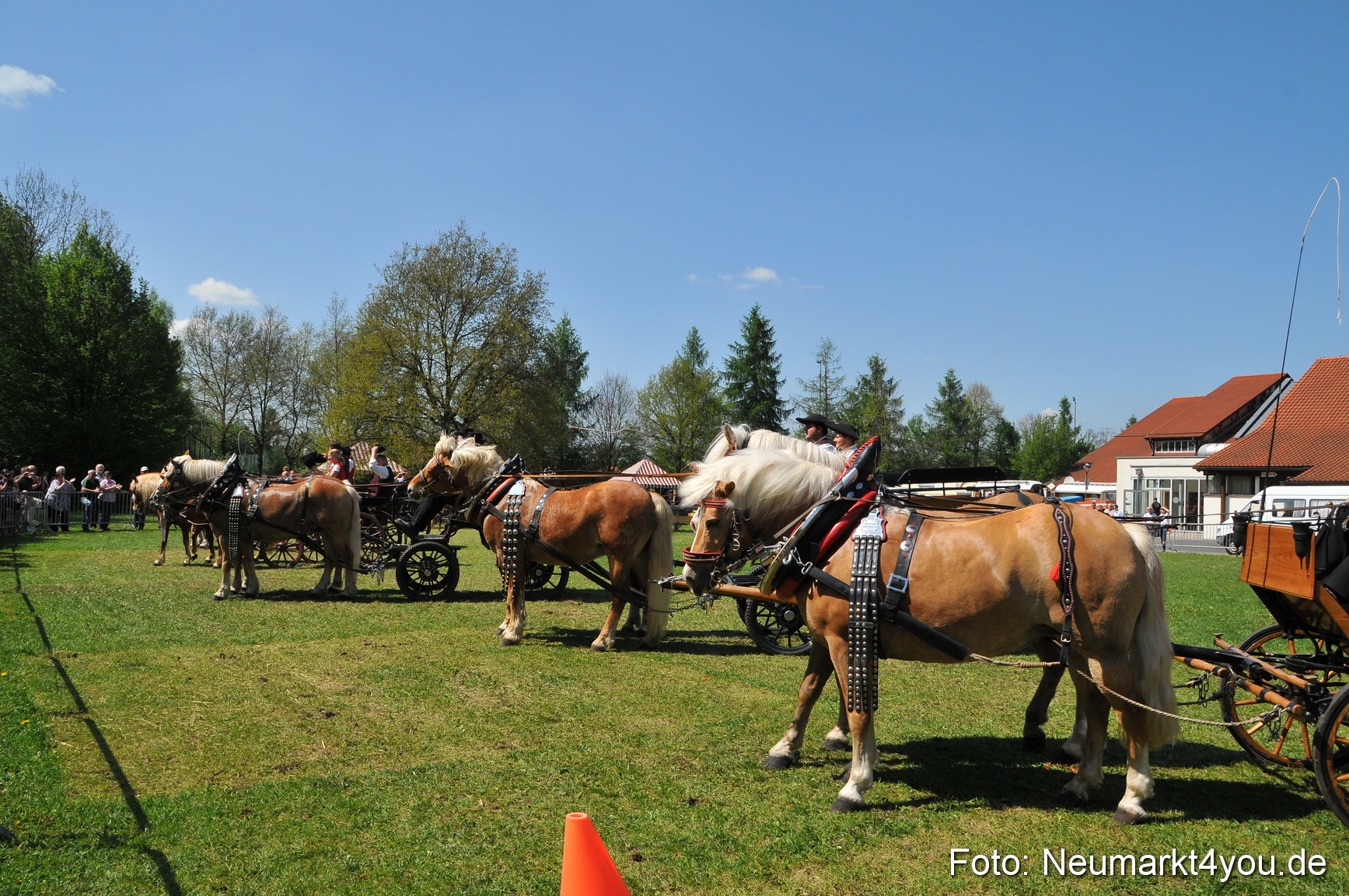 Nordbayerisches Haflingertreffen Neumarkt 010512 0142