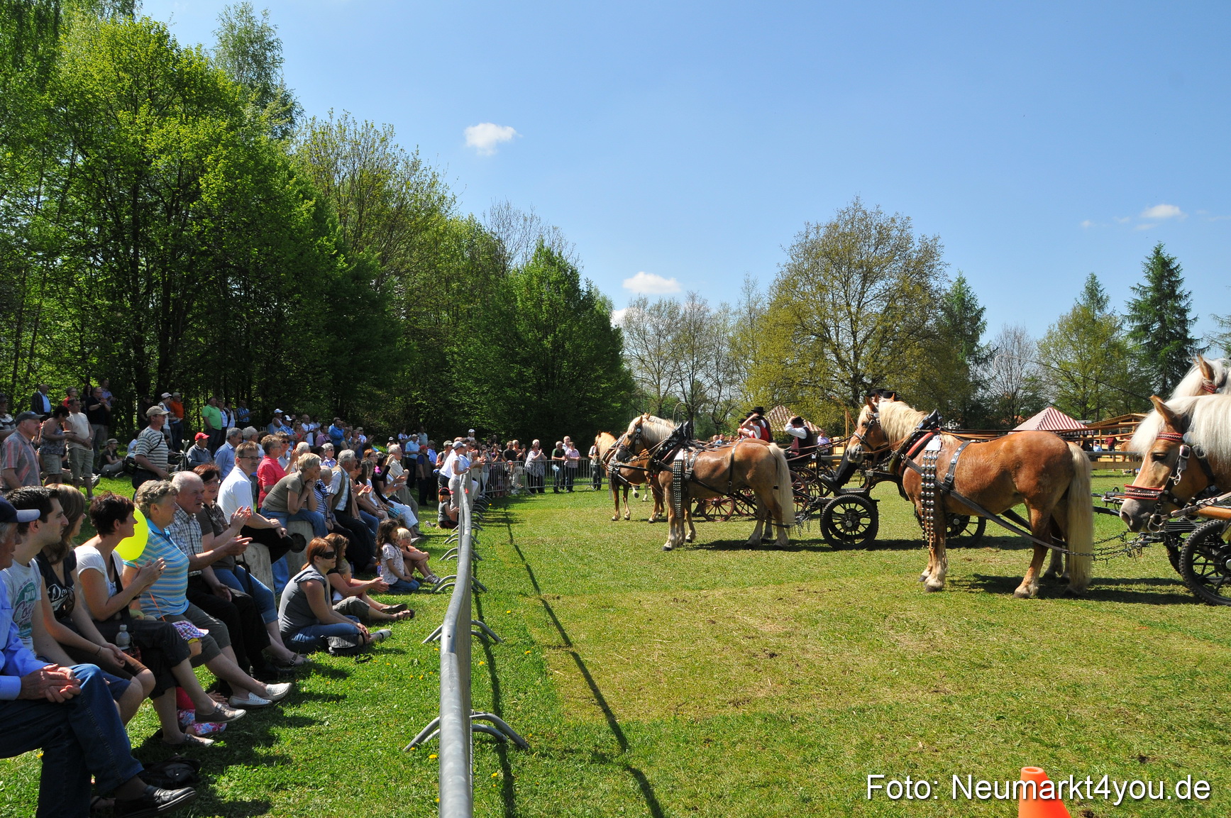 Nordbayerisches Haflingertreffen Neumarkt 010512 0143