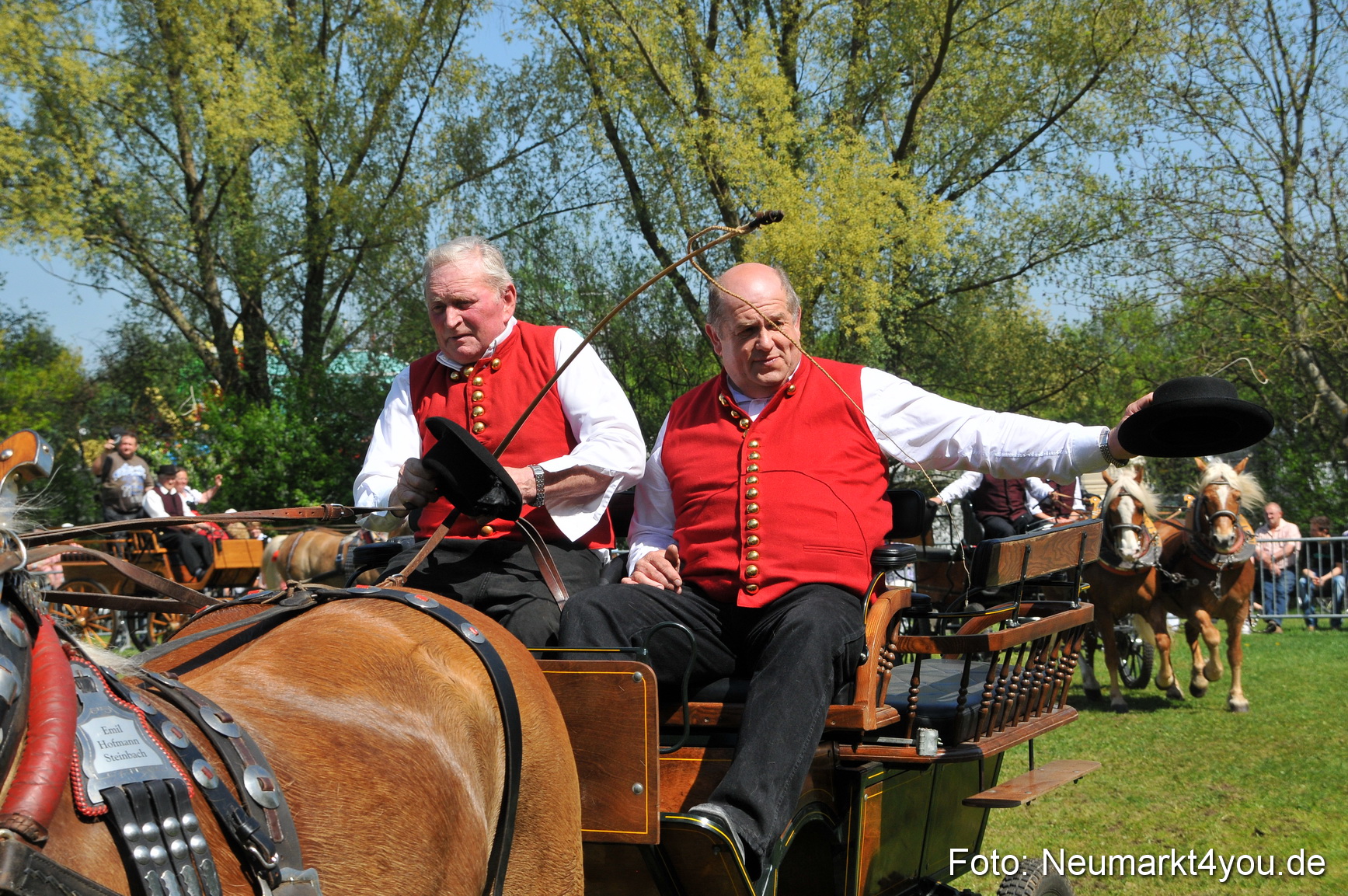 Nordbayerisches Haflingertreffen Neumarkt 010512 0146