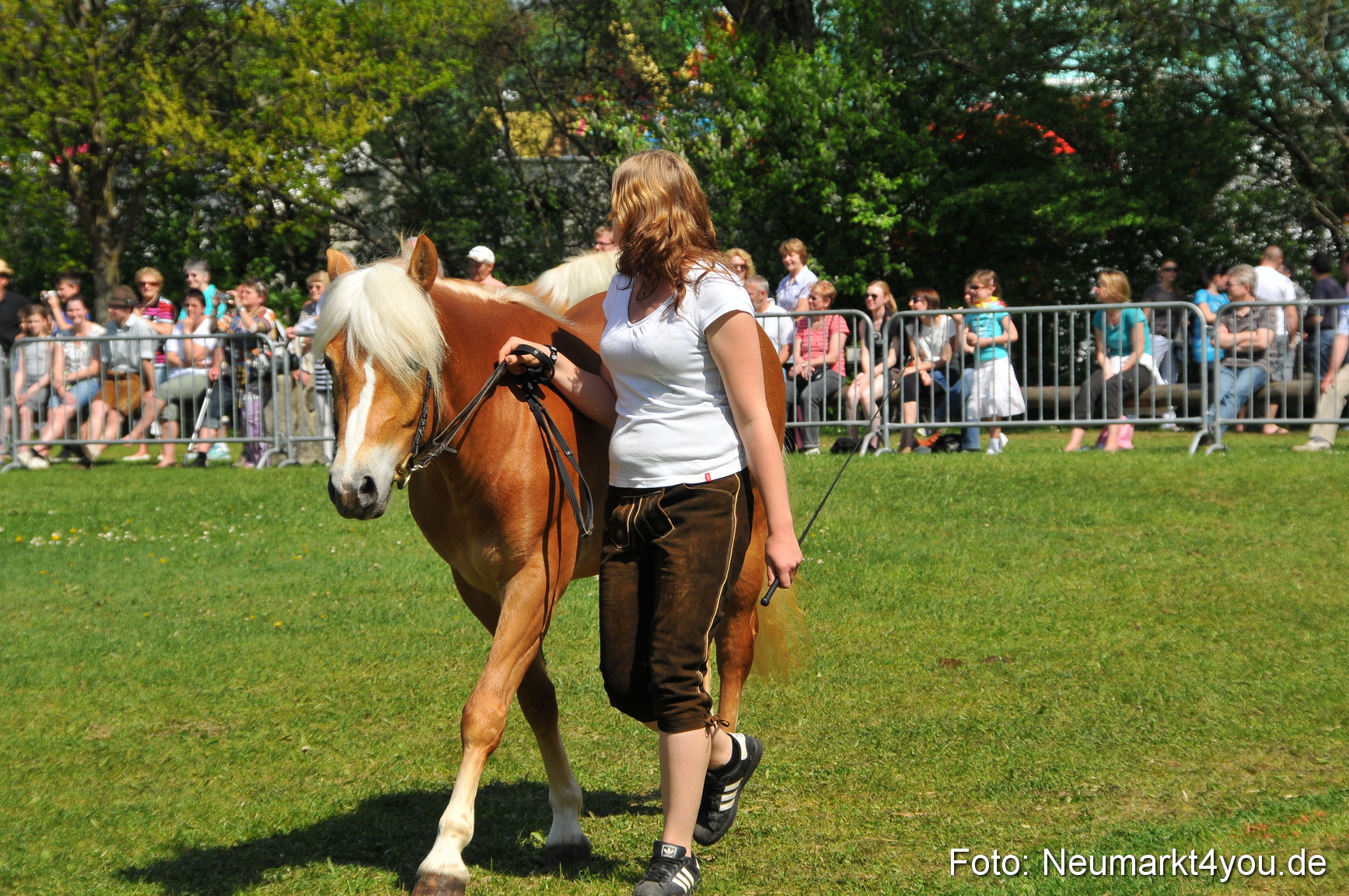 Nordbayerisches Haflingertreffen Neumarkt 010512 0151