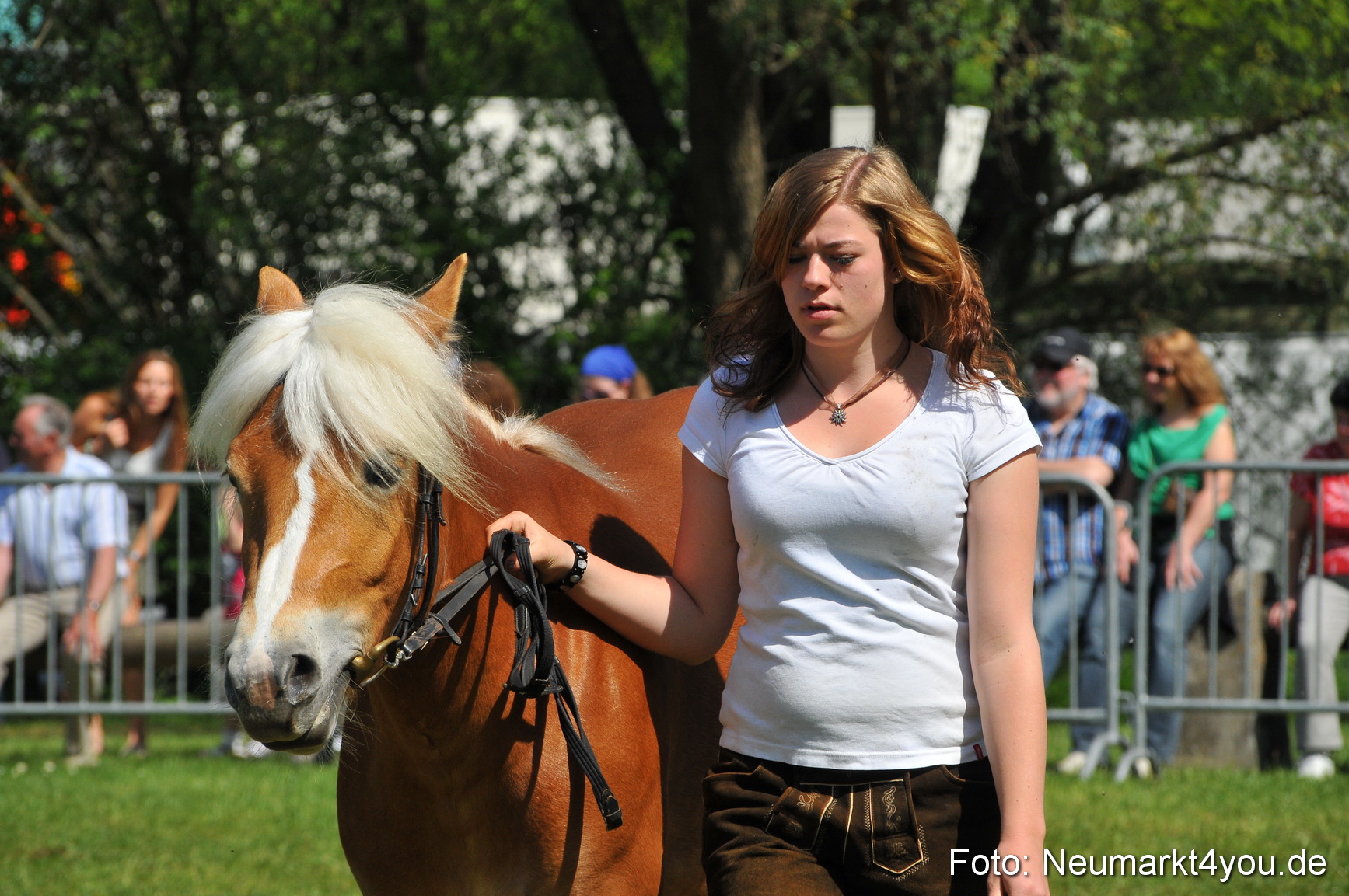 Nordbayerisches Haflingertreffen Neumarkt 010512 0155