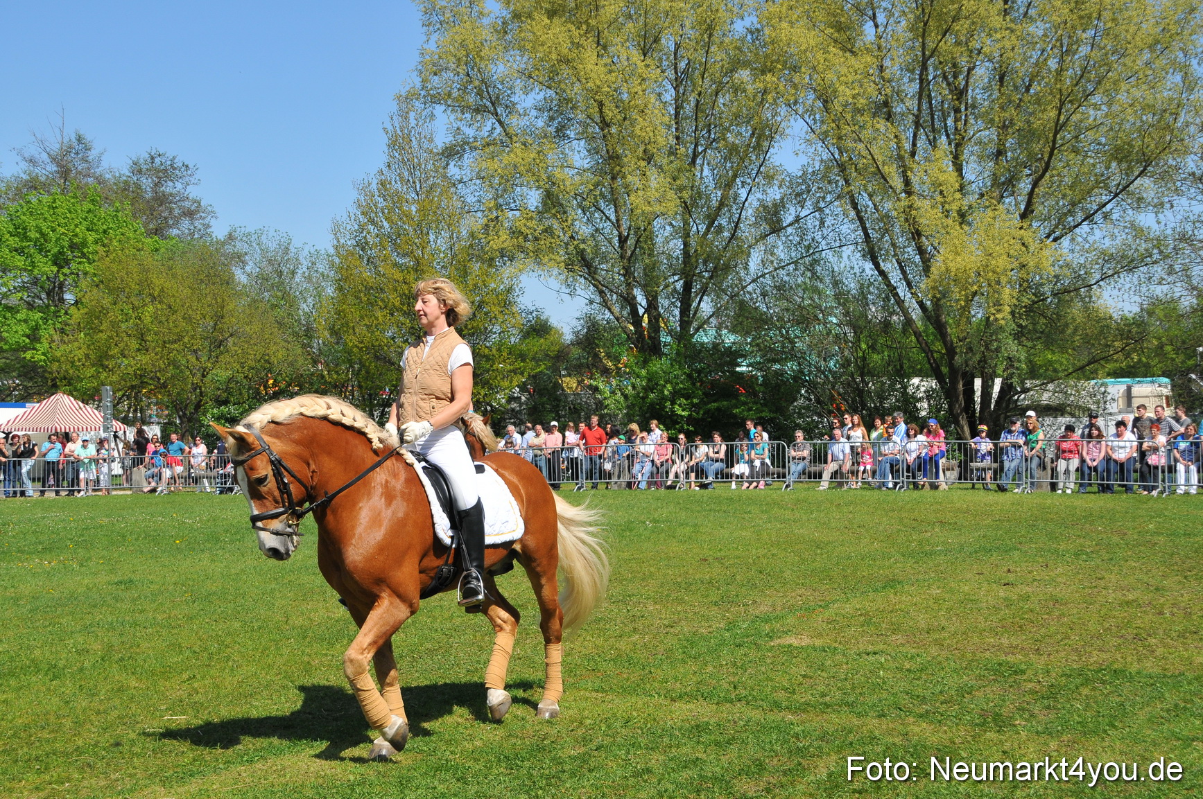 Nordbayerisches Haflingertreffen Neumarkt 010512 0158