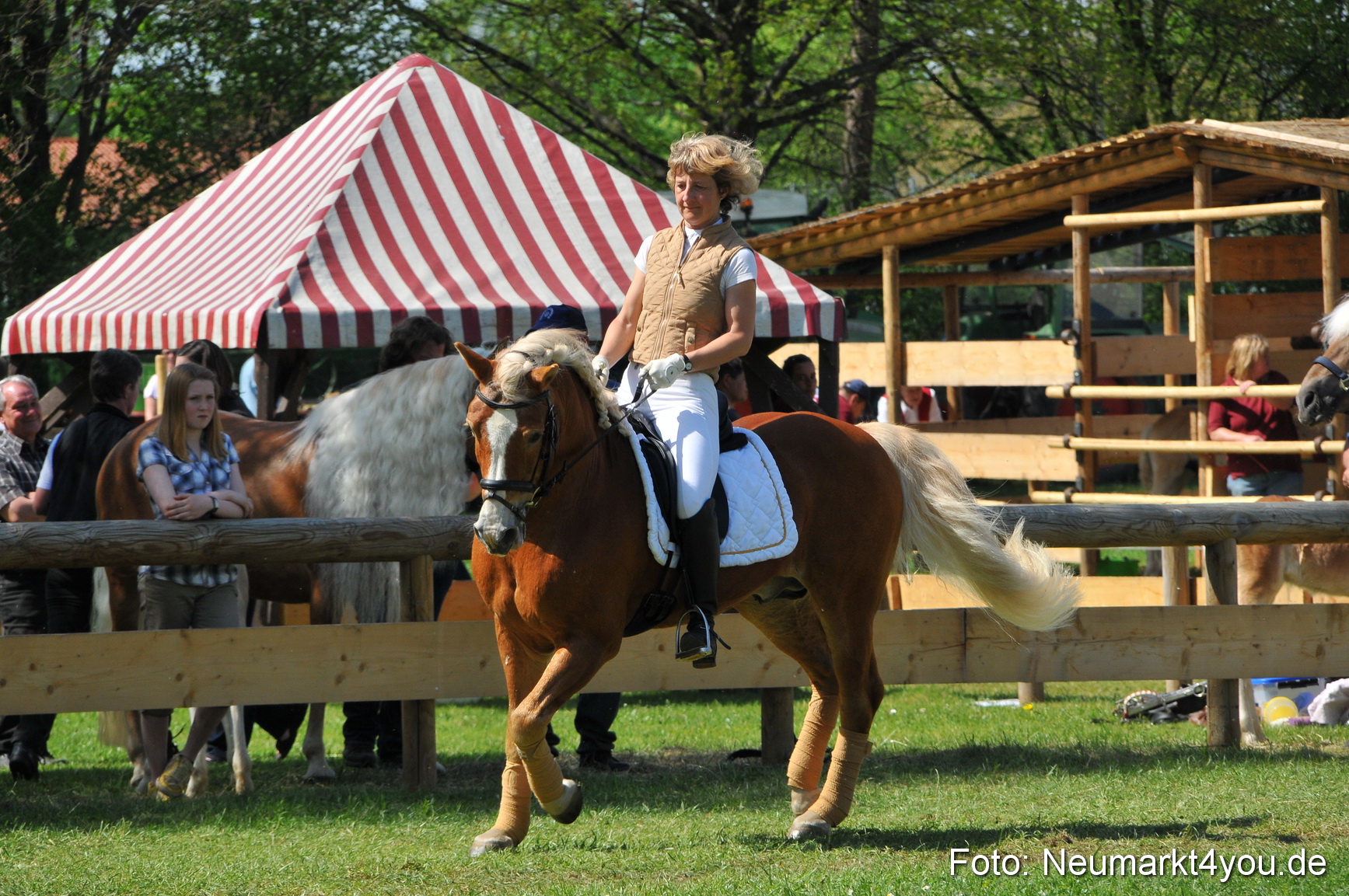 Nordbayerisches Haflingertreffen Neumarkt 010512 0160