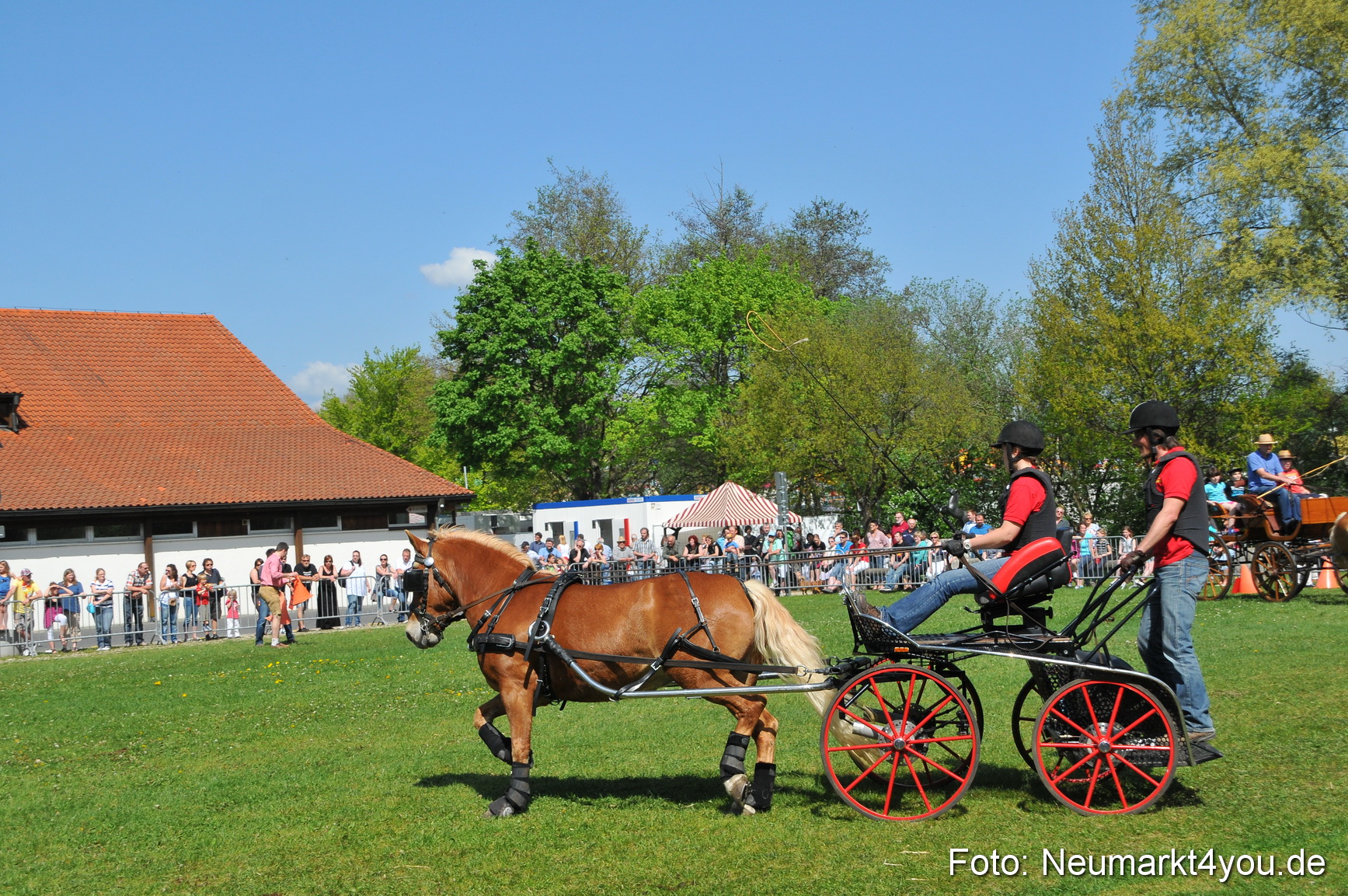 Nordbayerisches Haflingertreffen Neumarkt 010512 0166