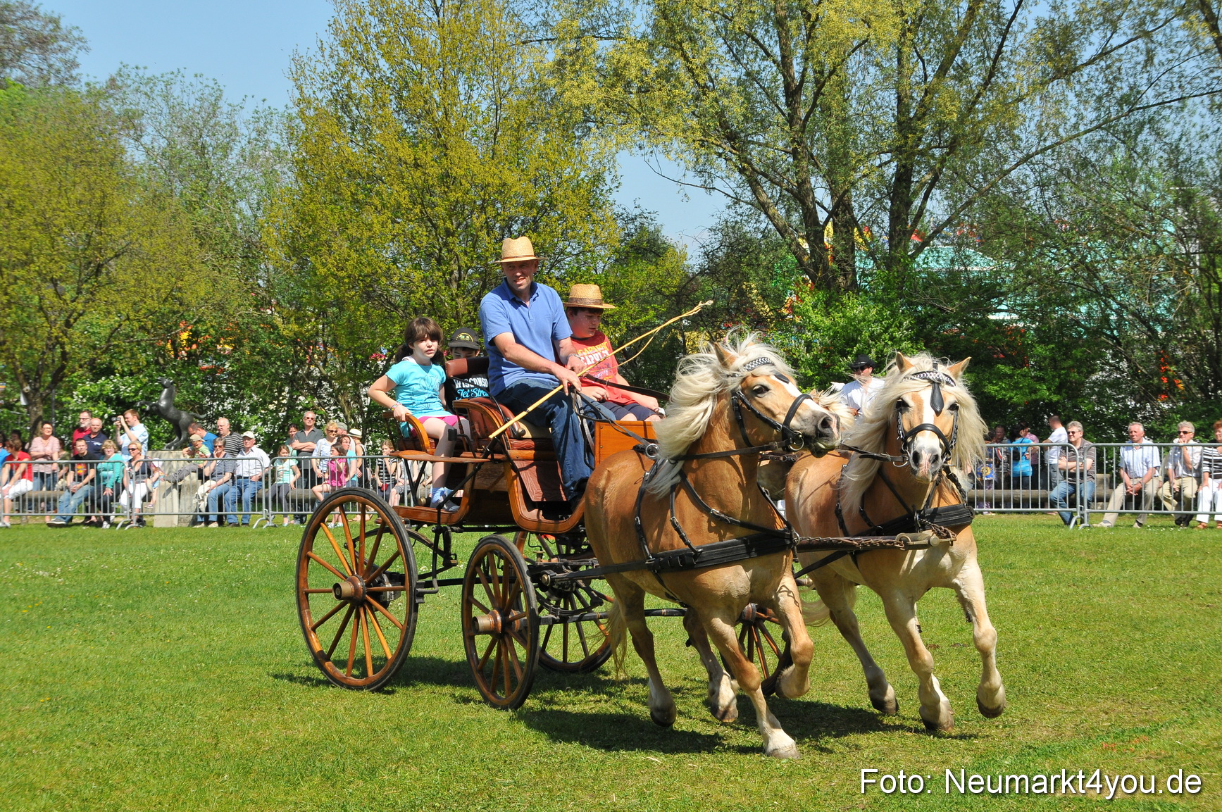 Nordbayerisches Haflingertreffen Neumarkt 010512 0169