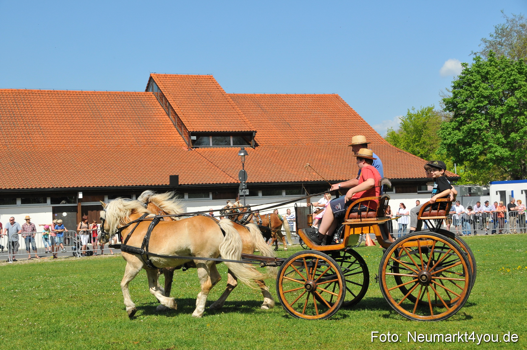 Nordbayerisches Haflingertreffen Neumarkt 010512 0170