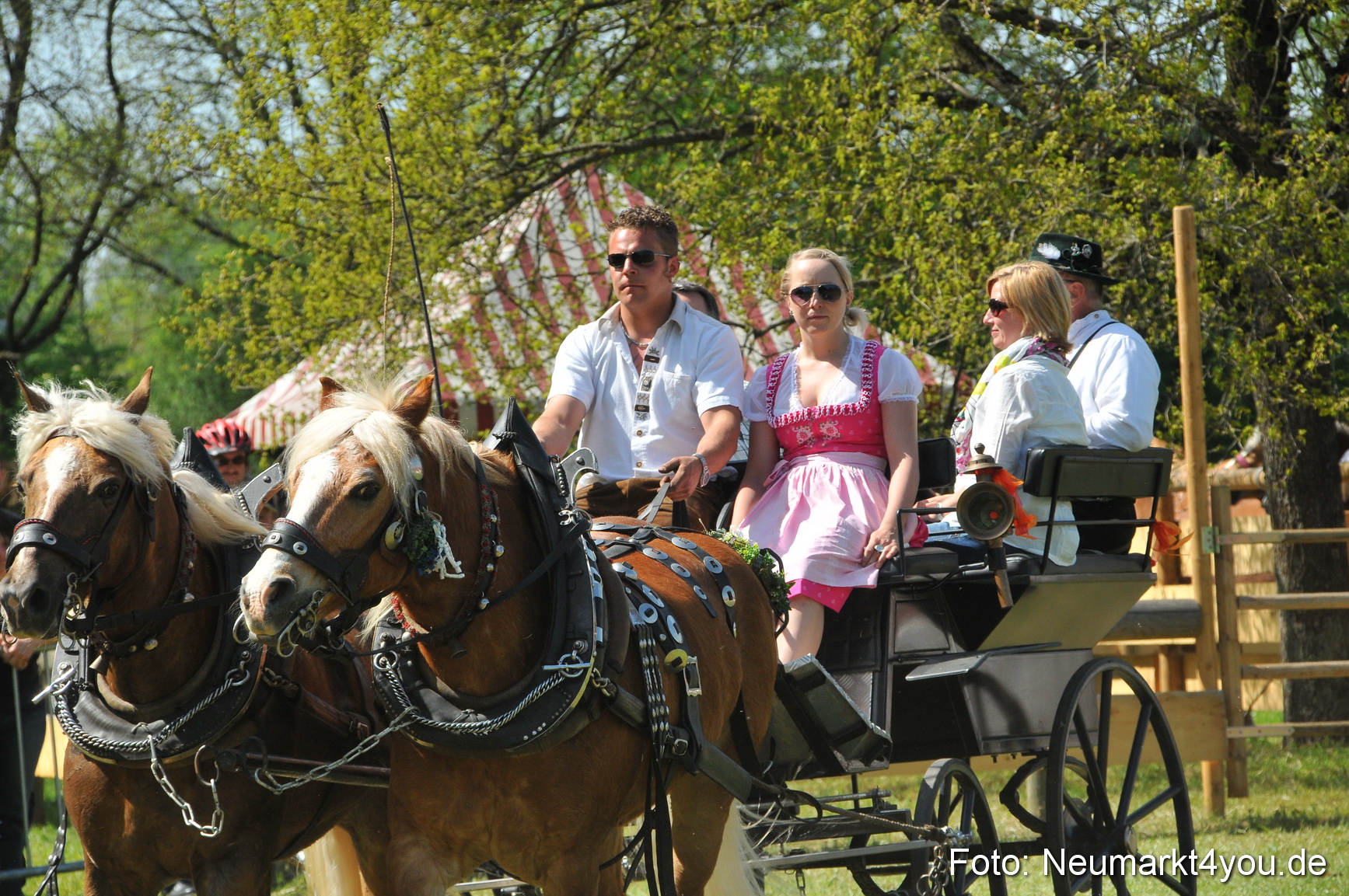 Nordbayerisches Haflingertreffen Neumarkt 010512 0172
