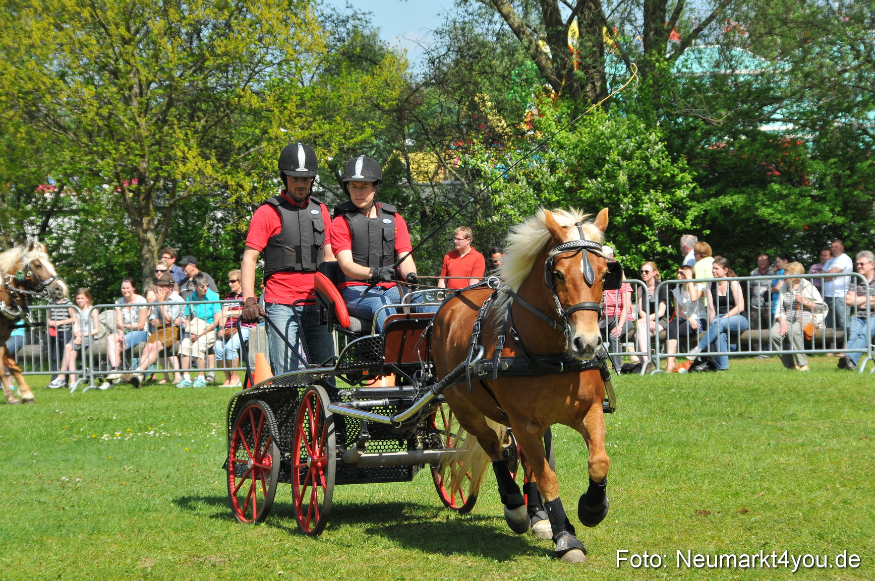Nordbayerisches Haflingertreffen Neumarkt 010512 0173