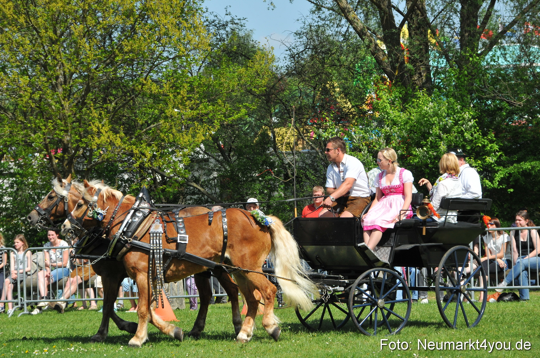 Nordbayerisches Haflingertreffen Neumarkt 010512 0174