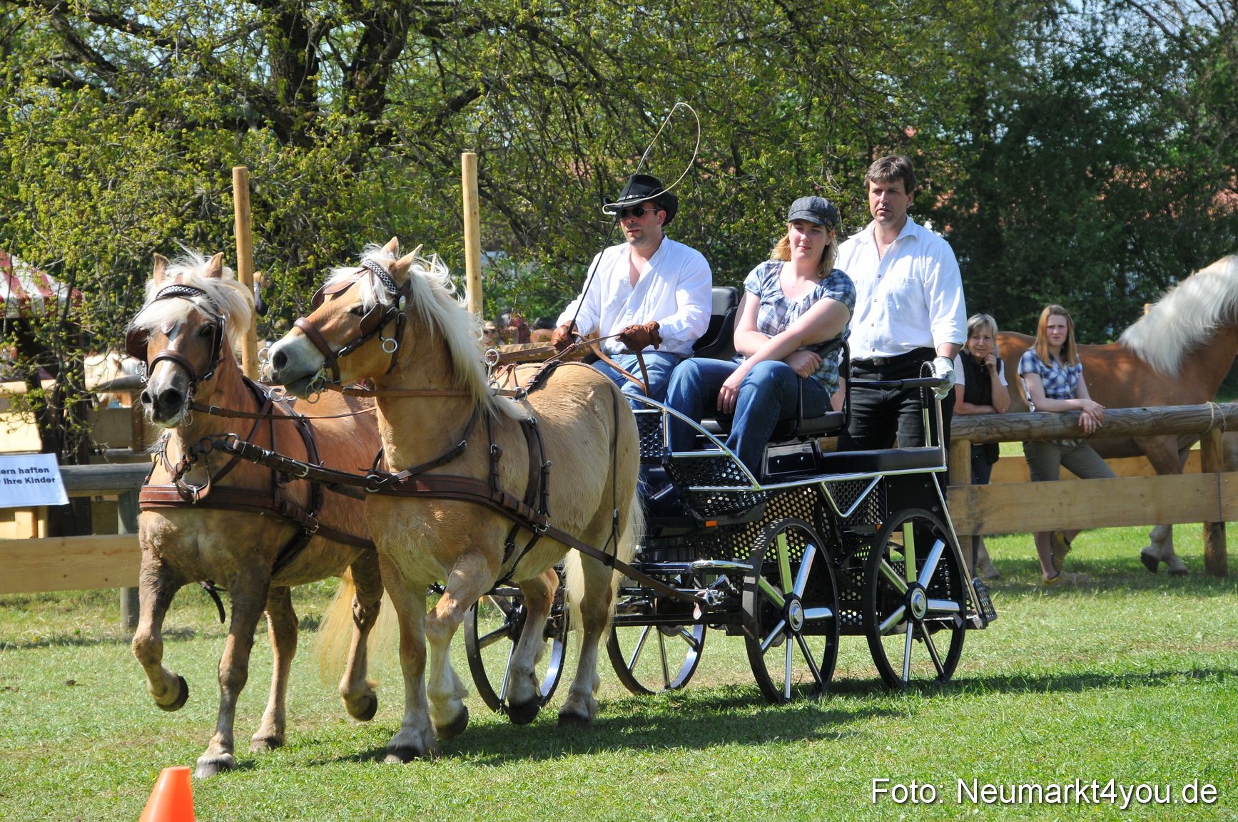 Nordbayerisches Haflingertreffen Neumarkt 010512 0175