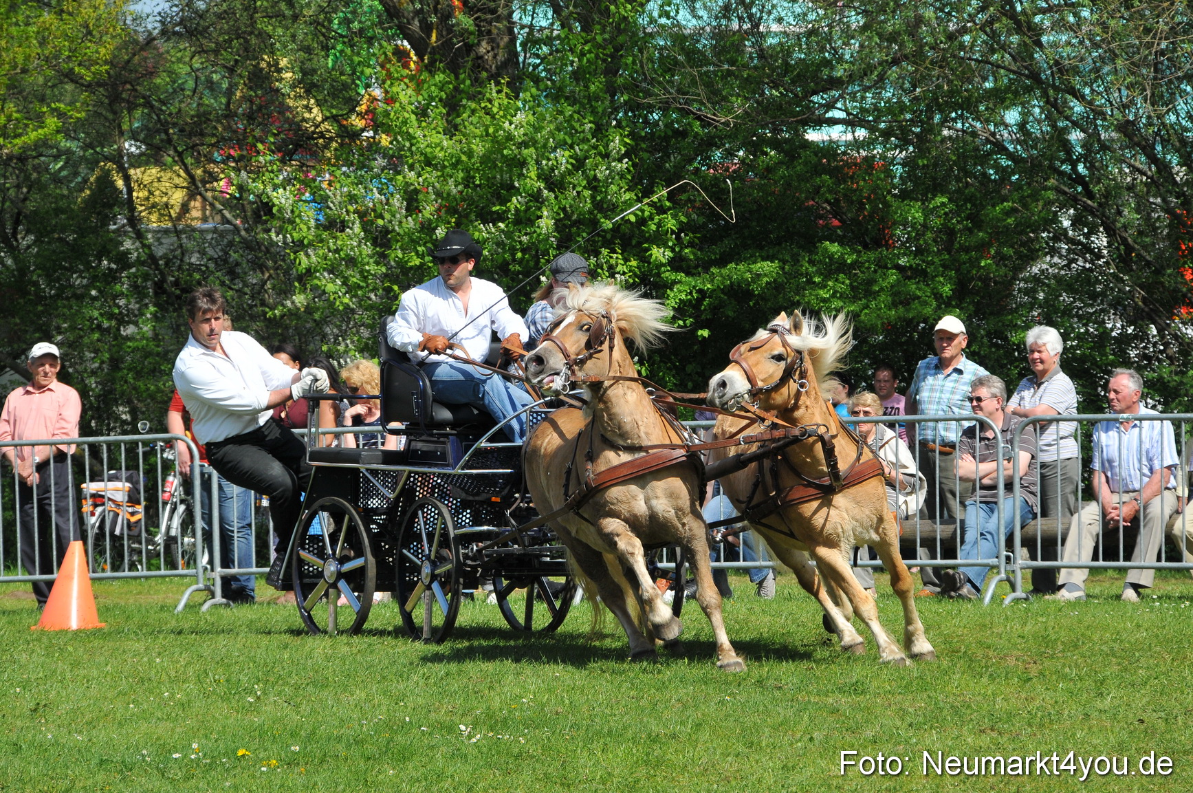 Nordbayerisches Haflingertreffen Neumarkt 010512 0177